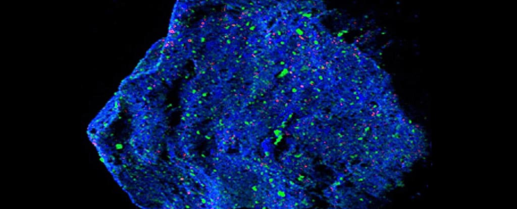 عينات كويكب ريوغو تكشف معدنًا غريبًا!