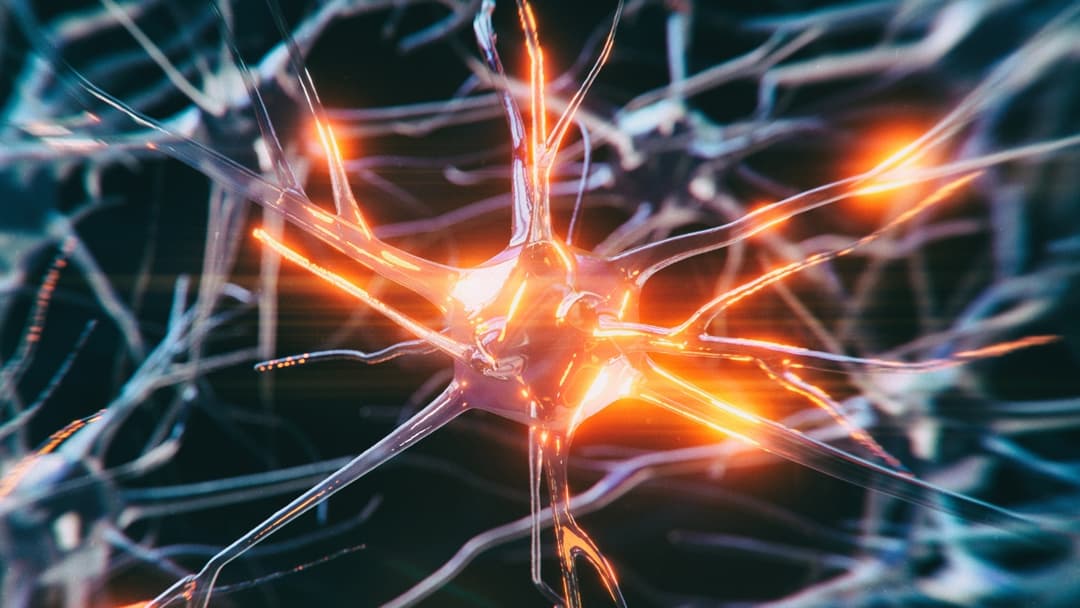 ما هي حالة أصغر مريض شُخّص بمرض ألزهايمر؟