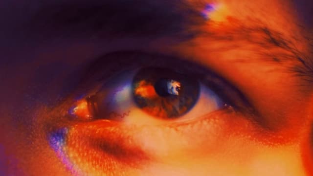 العنوان: هل يختفي الكروموسوم Y؟ قد يكون جين جنسي جديد هو مستقبل الرجال!