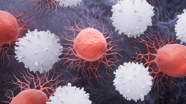 دراسة تشير إلى أن لقاحات كوفيد تساعد على مكافحة السرطان!