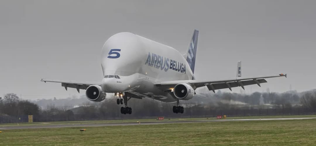 إيرباص بيلوغا أجرت رحلتها الأخيرة.. فلنتعرف عليها!