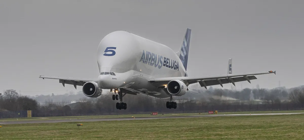 إيرباص بيلوغا أجرت رحلتها الأخيرة.. فلنتعرف عليها!