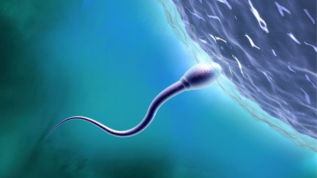 هل يمكن للبشر التكاثر خارج كوكب الأرض؟