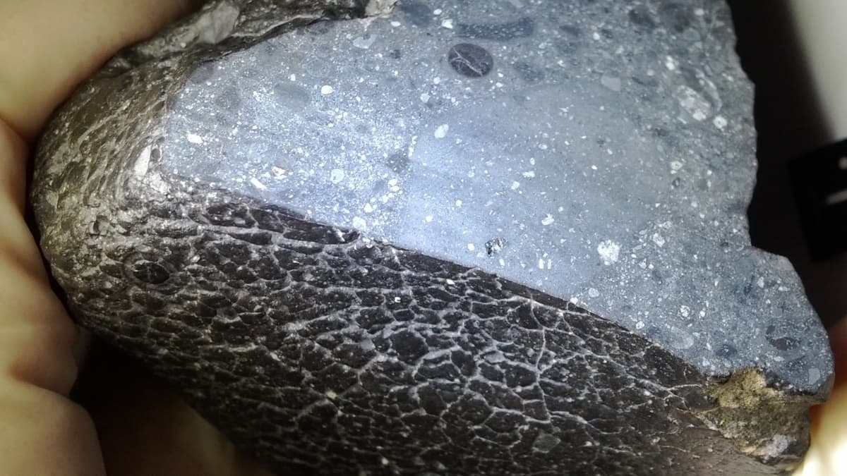 علماء يحصلون على نتائج غير متوقعة بعد فحص صخرة سوداء من المريخ!