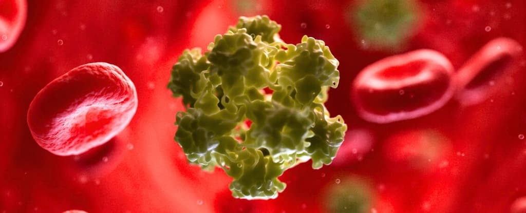 ما تحتاج إلى معرفته عن فيروس الورم الحليمي البشري