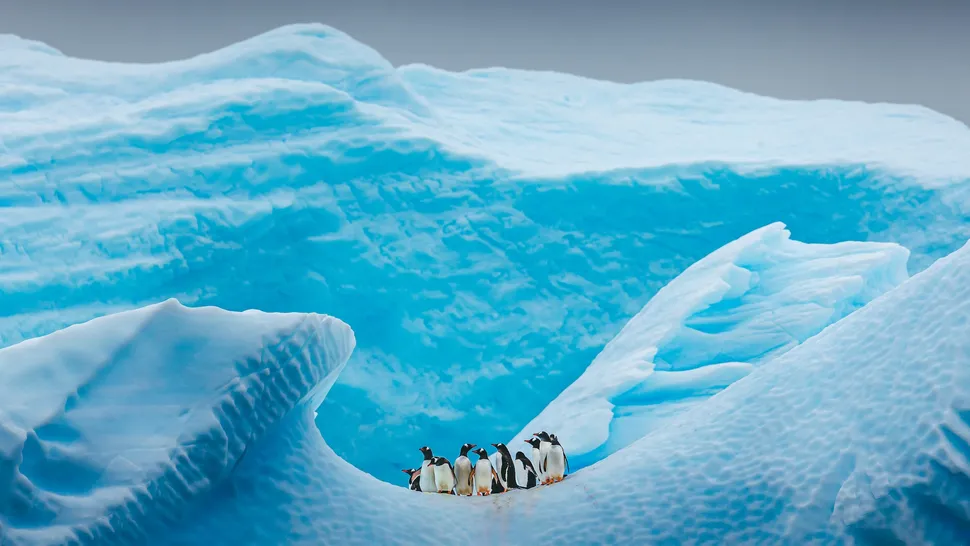كيف كان شكل الحياة في القارة القطبية الجنوبية قبل 50 مليون سنة؟