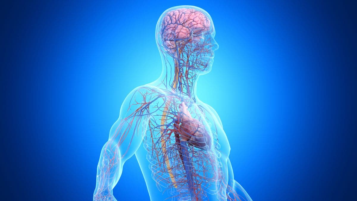 واحدة من كل ثلاث حالات خرف مرتبطة بأمراض خارج الدماغ