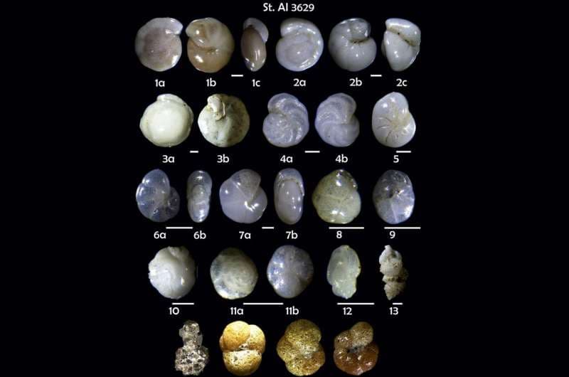 تغير المناخ يبطئ دوران الأرض بمعدلات غير مسبوقة!