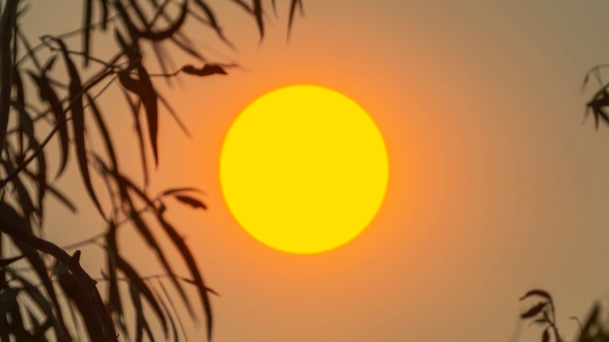ثلث سكان الأرض سيواجهون موجات حر وجفاف أقوى بخمسة أضعاف بحلول نهاية القرن الحالي