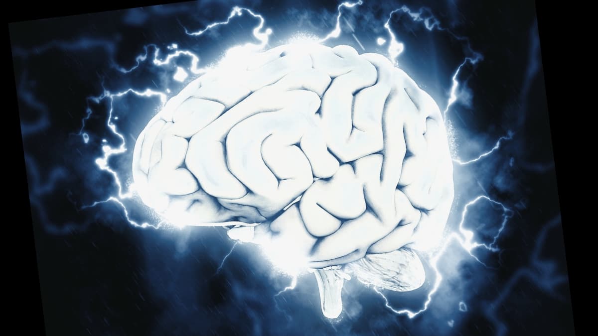 بعض الأعمال البسيطة شائعة بين رهبان الزن تساعد على تهدئة الدماغ!