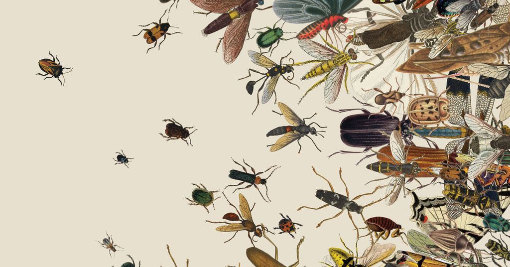 معظم كتب البيولوجيا تهمل الحشرات - أكثر الحيوانات وفرة على الكوكب