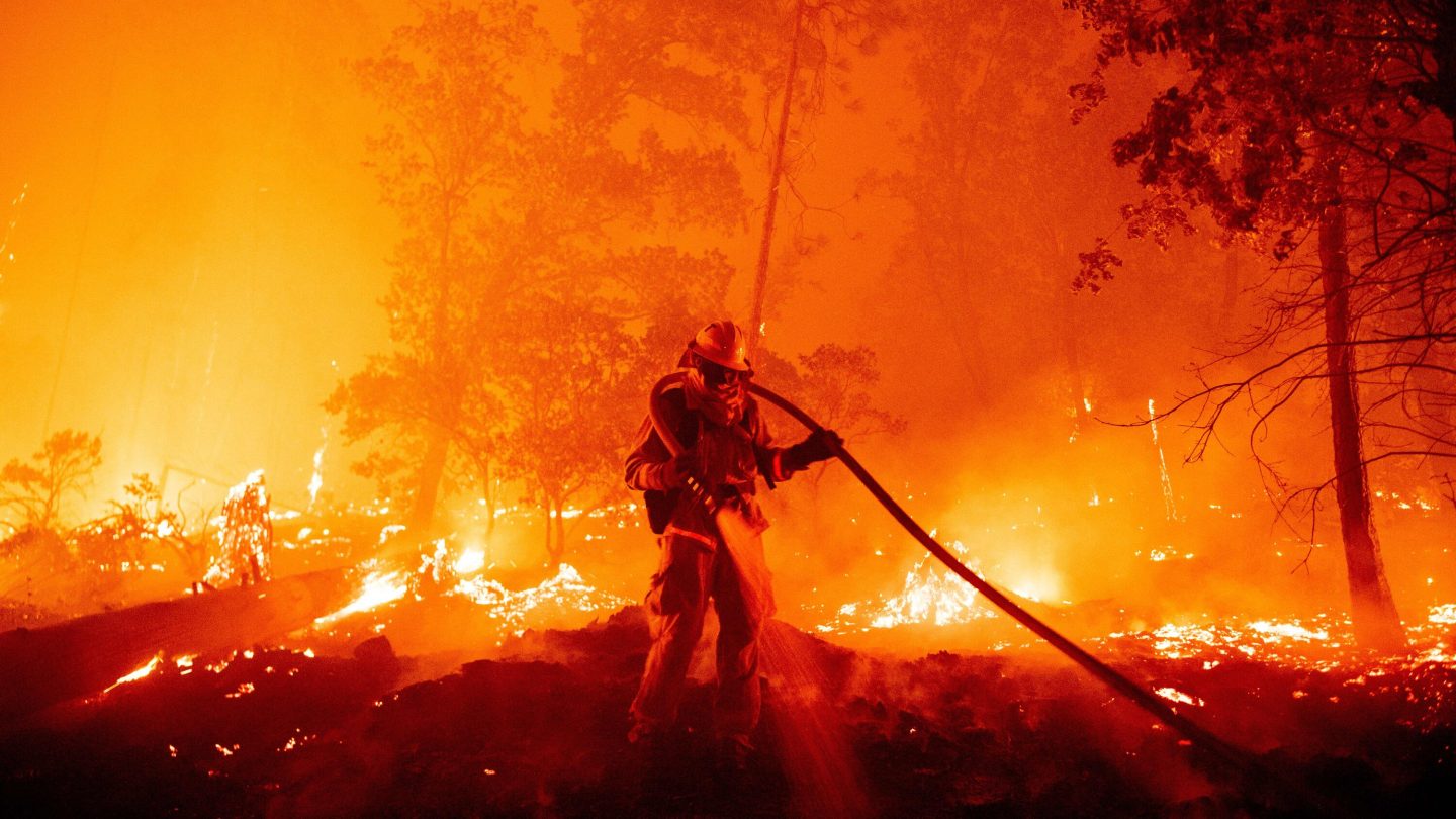 خمسة أسباب رئيسية لاشتعال حرائق الغابات