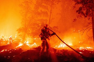 خمسة أخطاء حارقة لها عواقب اقتصادية وبيئية وخيمة في حال خروج حرائق الغابات عن السيطرة. تعرف على هذه العواقب وكيفية تجنبها