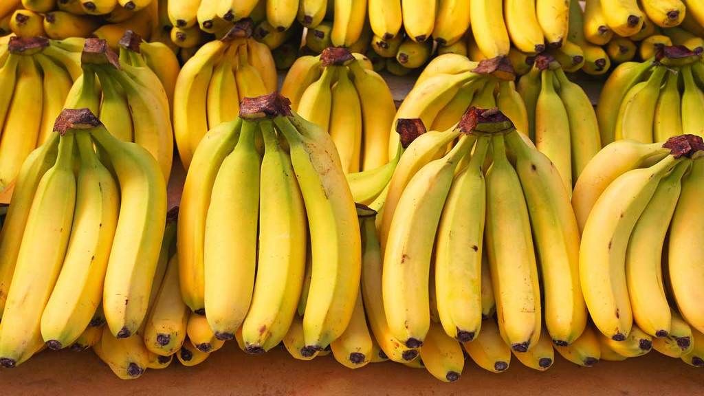 الموز قد ينقرض قريبا وقد حدث ذلك من قبل