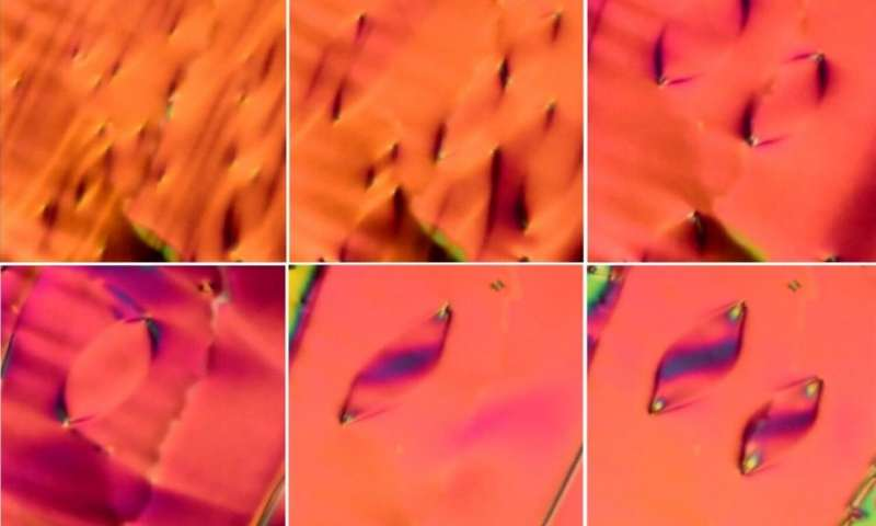 صور مجهرية للطور الجديد للبلورات السائلة