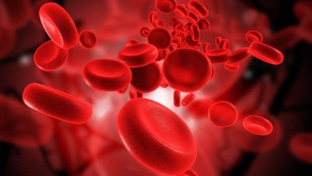 انخفاض هيموجلوبين الدم: الأسباب والعلاج - نقل الأكسجين من الرئتين إلى سائر الجسم - نقل ثاني أكسيد الكربون من الخلايا إلى الرئتين - فقر الدم - نقص الحديد