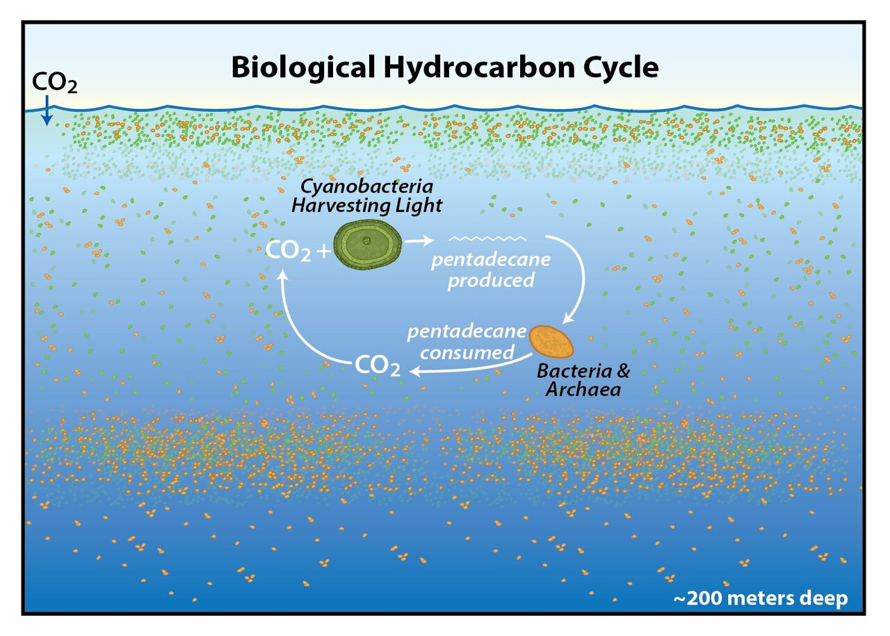 اكتشاف دورة هيدروكربونية هائلة غير معروفة مختبئة في المحيطات - انبعاث وإعادة تدوير الهيدروكربونات الطبيعية - عينات البنتاديكان في المحيط
