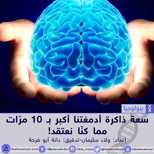 سعة ذاكرة أدمغتنا أكبر بـ 10 مرّات مما كنّا نعتقد!