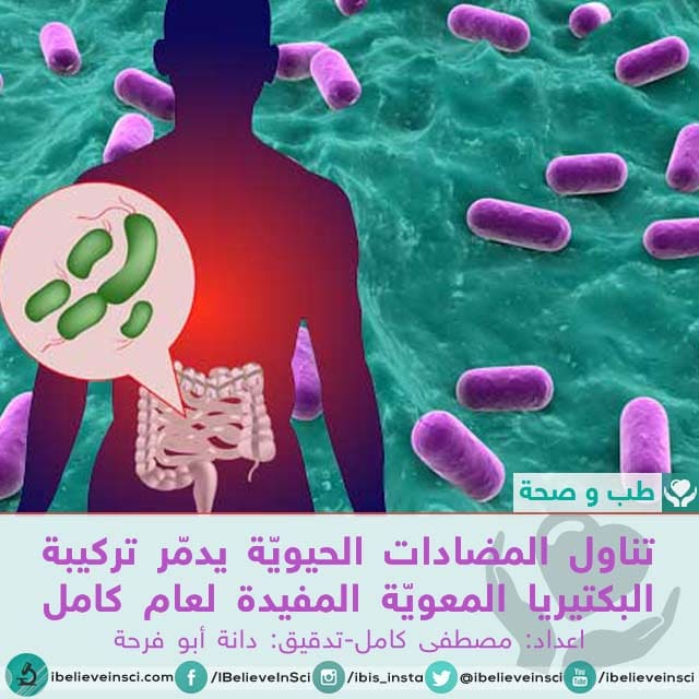 تناول المضادات الحيويّة يدمّر تركيبة البكتيريا المعويّة المفيدة لعام كامل