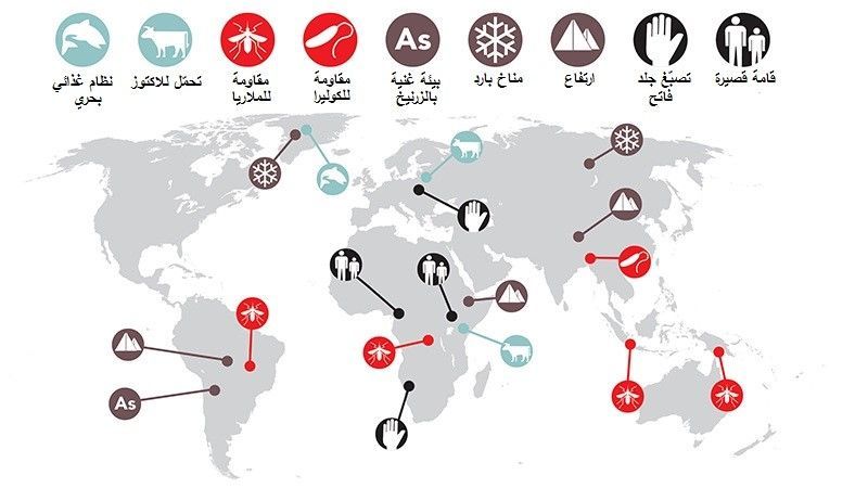 يظهر هذا الانفوغرافيك الجينات الغريبة لاسلافنا و التي استمرت حتى يومنا هذا