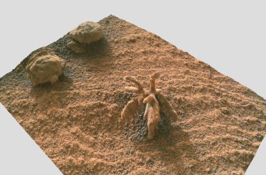 اقتربت مركبة كيوريوسيتي روفر التابعة لوكالة ناسا مؤخرًا من رواسب معدنية شبيهة بالأزهار على سطح المريخ آيوليس مونس أو جبل الريح
