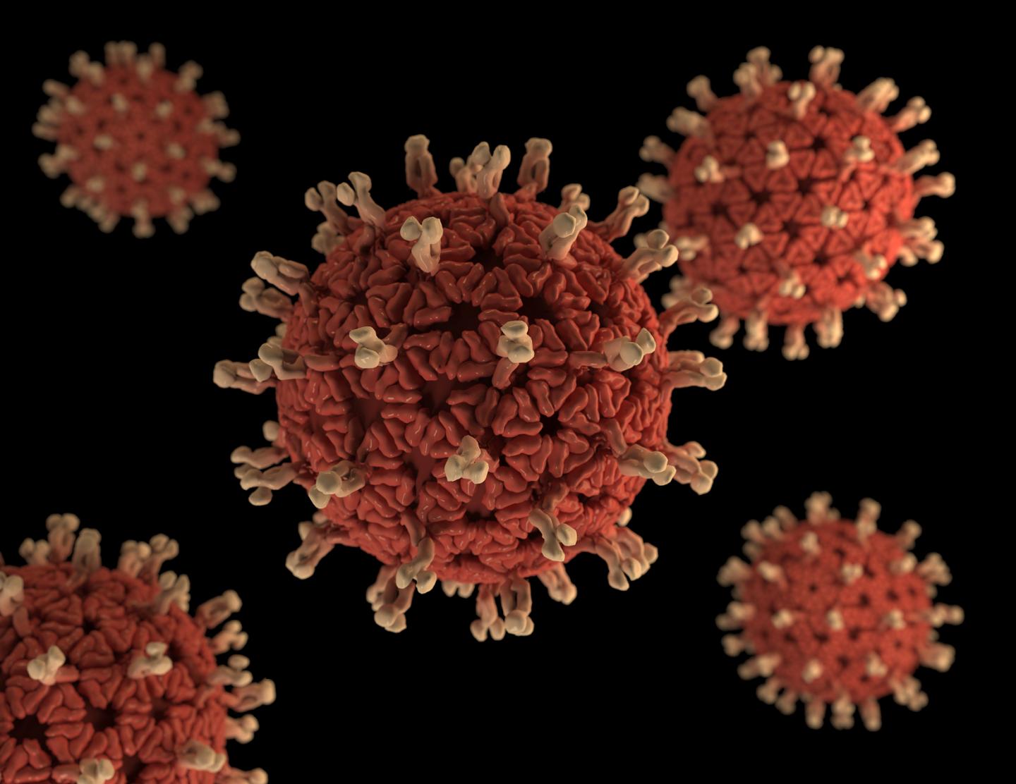 الفيروس العجلي: أعراض الإصابة والعلاج والوقاية