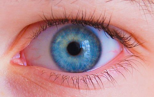 العيون الزرقاء ليست زرقاء.. لا وجود لعيون زرقاء من الأساس