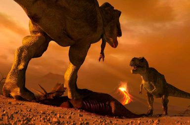 شاعت معلومة بين الناس أن منشأ تكوّن النفط هو تحلل الديناصورات، هل تشكل البترول في باطن الأرض بسبب الديناصورات أم هناك سبب آخر؟
