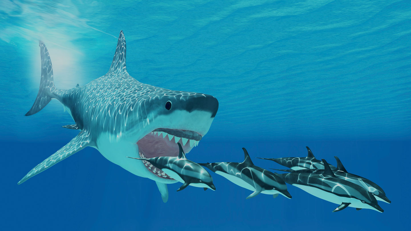 كم من الوقت يستغرق سمك القرش الأبيض الكبير لعبور المحيط؟