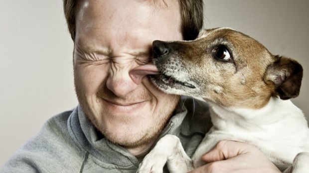 هل الكلاب مبرمجة وراثيا ل حب البشر ؟