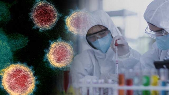 طفرات فيروس كورونا.. ما نعرفه حتى الآن - أول تسلسل جيني لفيروس كوفيد-19 - من أين جاء فيروس سارس كوف-2 - كيف تحدث الطفرات في الفيروسات