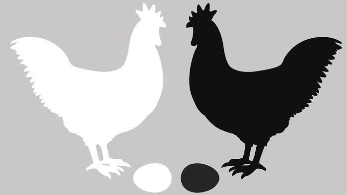 تجربة "البيضة أولًا أم الدجاجة" الكموميّة تغيّر مفهومنا حول "قبل وبعد"