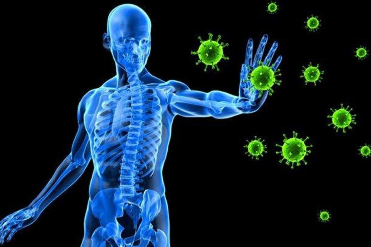 الجهاز المناعي: الأمراض والاضطرابات والوظيفة