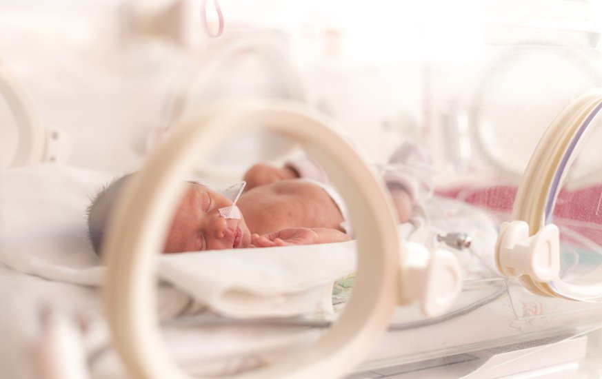 الولادة المبكرة ضعف الدماغ يمكن ان يبدا داخل الرحم