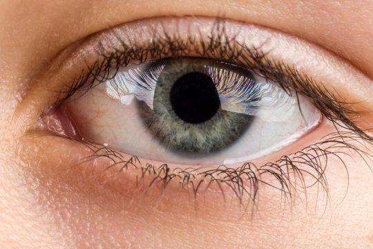 اكتشاف الخلية المسؤولة عن قصر النظر في شبكية العين