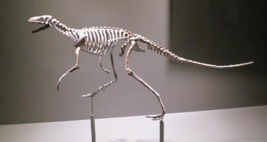 كيف اكتسبت الديناصورات قدرة الوقوف على قدمين ؟
