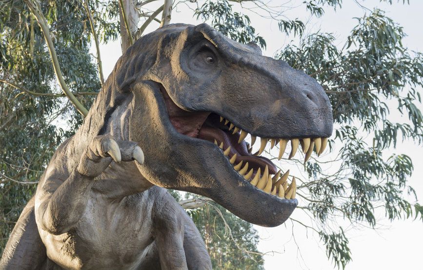 سر عضة التيرانوصور تي ركس الأقوى في تاريخ الكائنات الحية