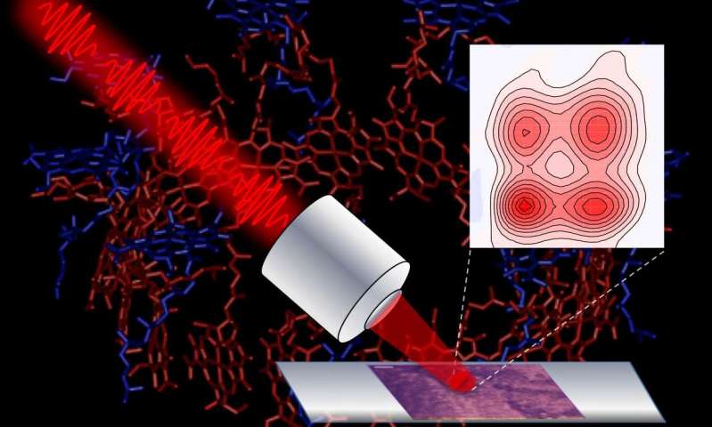 تطوير ميكروسكوب لتعقب سريان الطاقة الضوئية في خلايا البناء الضوئي