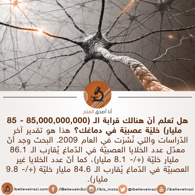 كم هو عدد الخلايا العصبية في دماغ الانسان؟