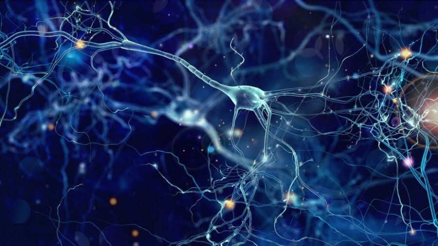 لدراسة طفرة مرتبطة بالفصام، أنشأ العلماء نموذجًا للدماغ مستخدمين الخلايا الجذعية!