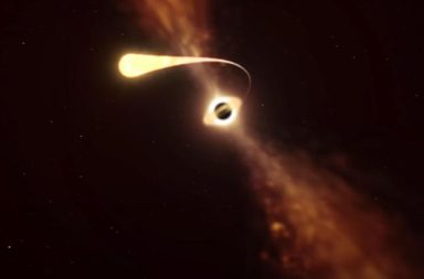 نظام نجمي ثنائي يمتص أحدهما الحياة من الآخر - باحثون من المرصد الجنوبي الأوروبي وجدوا تفسيرًا لهذا الجرم الذي صُنف سابقًا أقرب ثقب أسود لنا