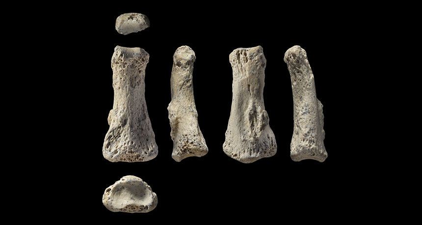 العثور على أقدم أحفورة بشرية في شبه الجزيرة العربية تعود إلى 86 ألف سنة على الأقل