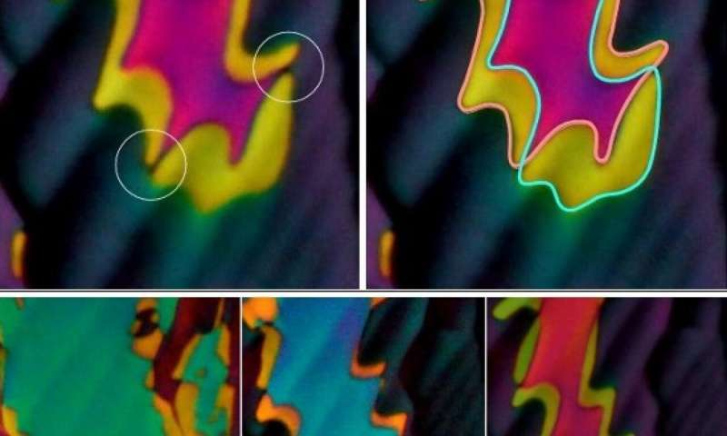 صور مجهرية للألوان البراقة الظاهرة في الطور الجديد للبلورات السائلة