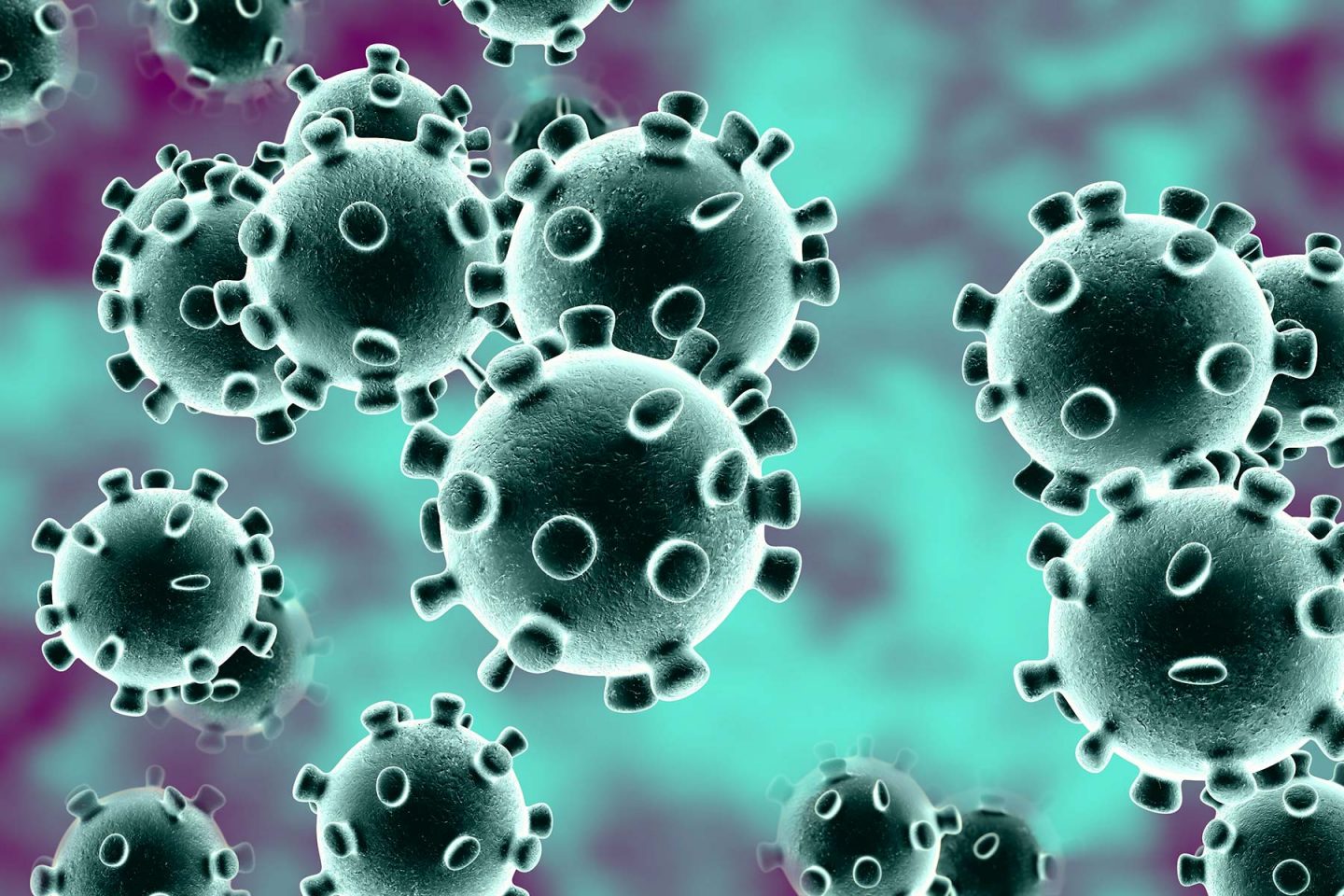 دراسة أولية تشير إلى وجود سلالتين من فيروس كورونا المستجد