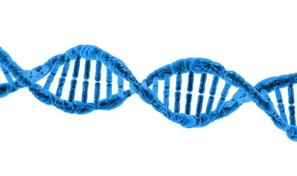 باحثون يعيدون صياغة تقنية (CRISPR-Cas9) لتحرير الجينات