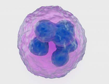 قد تستيقظ الخلايا السرطانية الخاملة بسبب تغير في هذا البروتين الرئيسي!