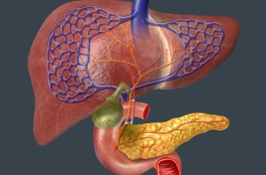 ما تصوير البنكرياس والقنوات الصفراوية بالمنظار (ERCP)؟ لماذا يصور مقدمو الرعاية الصحية البنكرياس والقناة الصفراوية بالمنظار(ERCP)؟