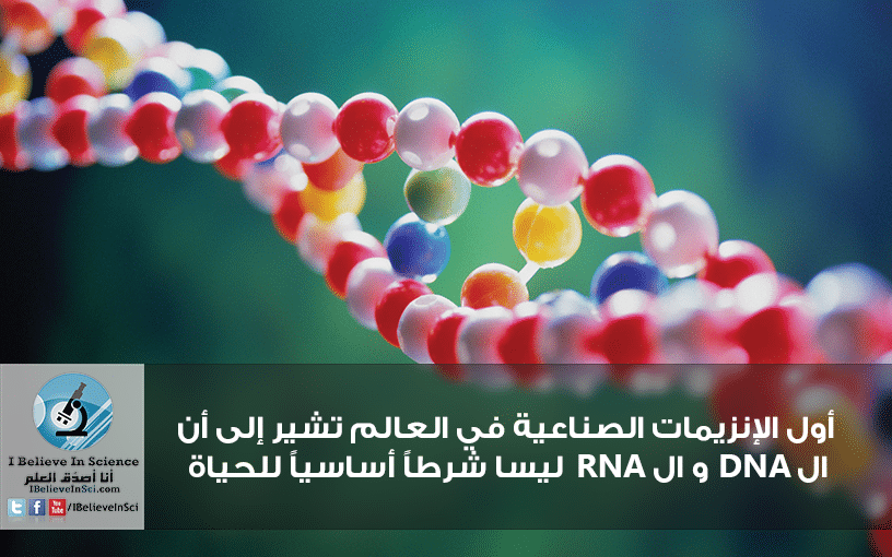 أول الإنزيمات الصناعية في العالم تشير إلى أن الـDNA و الـRNA ليسا شرطاً أساسياً للحياة.