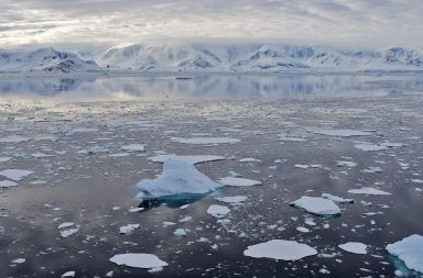 أظهرت صور الأقمار الصناعية في شهر فبراير من العام الحالي انخفاضًا في امتداد الجليد البحري تمثل الأقل منذ 40 عامًا حتى الآن