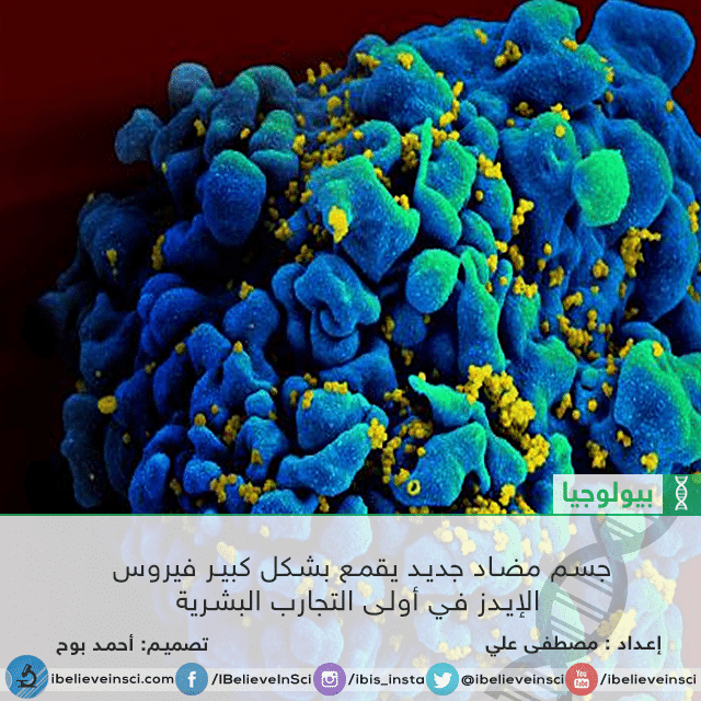جسم مضاد جديد يقمع بشكل كبير فيروس الإيدز في أولى التجارب البشرية